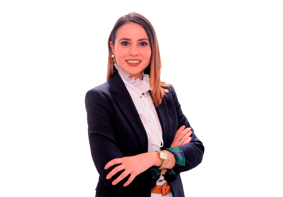 Ana Mendes Lopes Legal