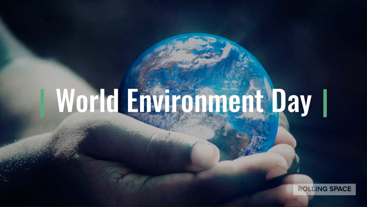 Planet sustainability: what more can I do?